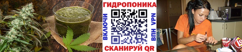 Canna-Cookies конопля  Купить где  Клинцы 