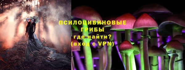 а пвп мука Козловка