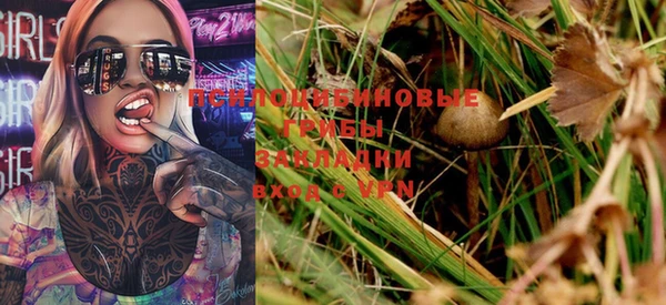 герыч Козельск