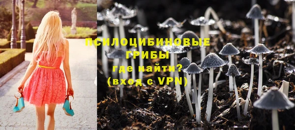 а пвп мука Козловка